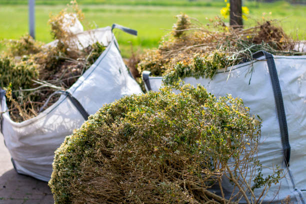 Best Commercial Cleanout Services  in Lake Isabella, CA