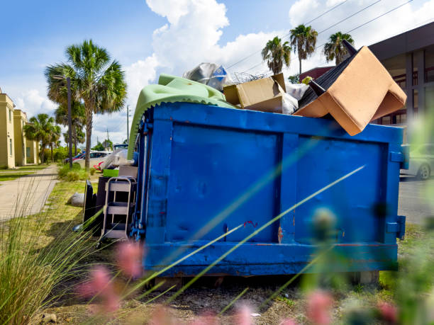 Best Appliance Removal Near Me  in Lake Isabella, CA