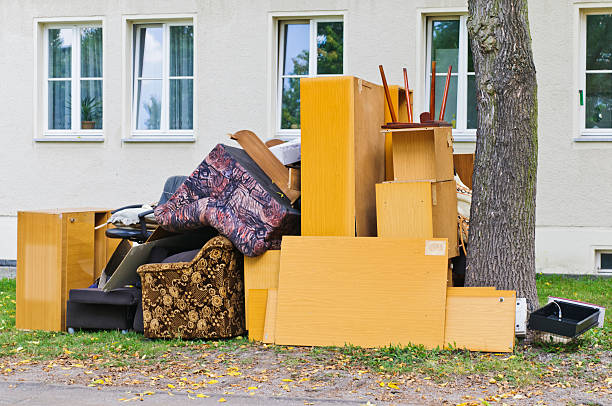 Best Electronics Removal Services  in Lake Isabella, CA